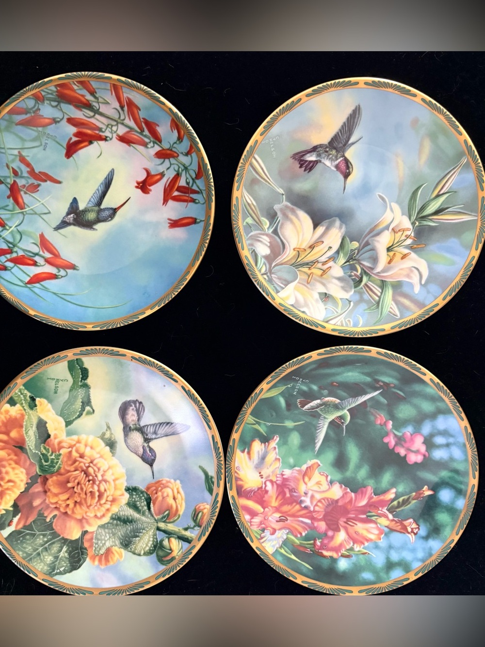 Collectors Hummingbird Floral Decorative Plate Set x5 - 6 inch Multi-Color